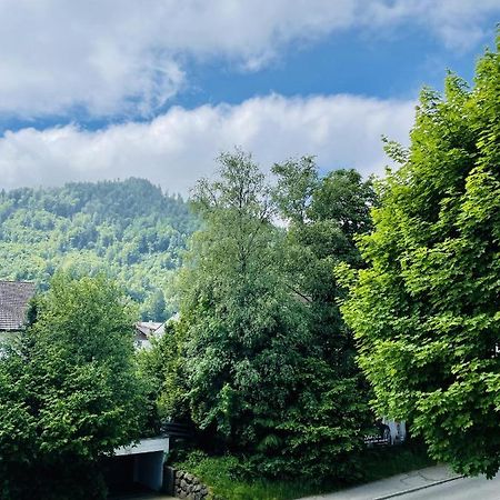 Gemuetliches Apartment Mit Bergblick Im Herzen Von Immenstadt Im Allgaeu Immenstadt im Allgäu Exterior foto